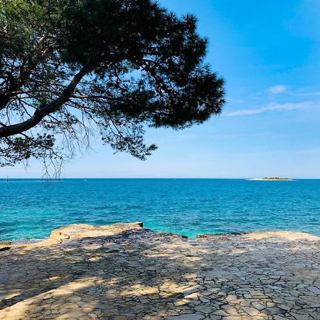 App Fiorela Porec Bagian luar foto