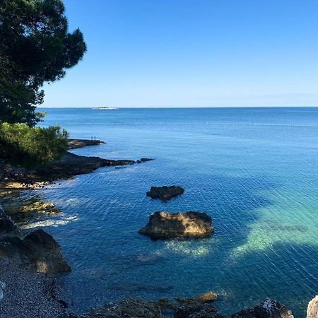 App Fiorela Porec Bagian luar foto