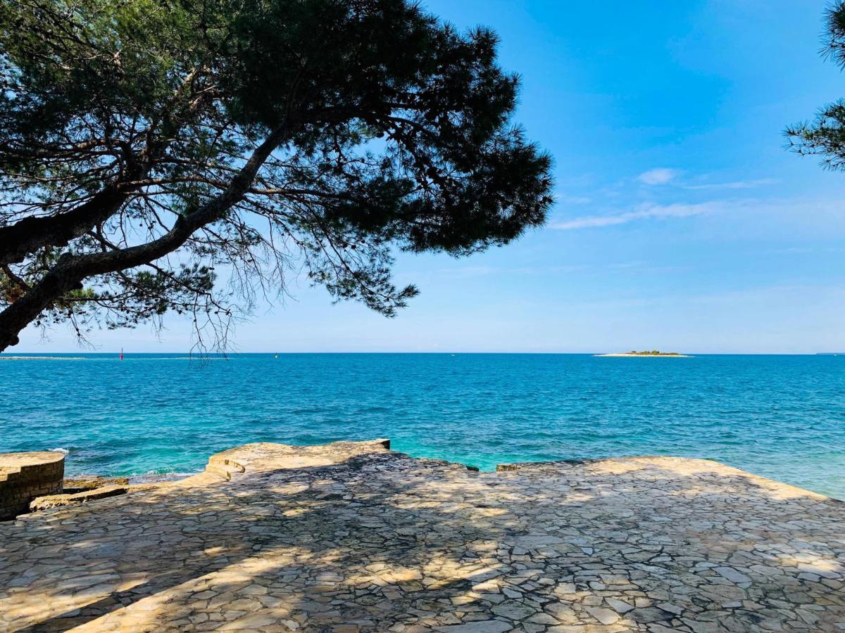 App Fiorela Porec Bagian luar foto